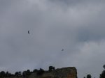 img175.JPG