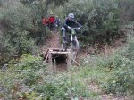 IMG_9679.jpg