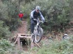 IMG_9681.jpg