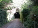 DSCN0783.jpg