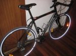 ciclo1.jpg