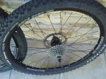 DSC00017.jpg