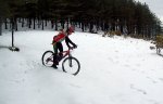 100_2941.JPG