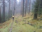 DSC00424.jpg