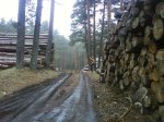 DSC00428.jpg