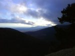 DSC00446.jpg