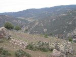 mini-IMG_2492.JPG