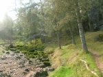 DSCN4883.jpg