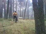 DSC00437.jpg