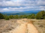 DSCN4920.jpg