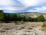 DSCN4921.jpg