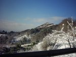 PIC_0049.jpg