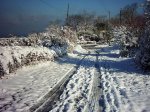PIC_0054.jpg