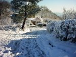 PIC_0055.jpg