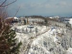 PIC_0059.jpg