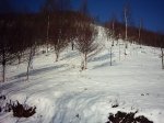 PIC_0065.jpg