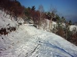 PIC_0067.jpg