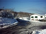PIC_0076.jpg