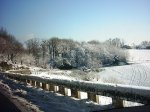 PIC_0082.jpg