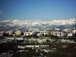 PIC_0085.jpg