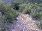 Imagen002.jpg
