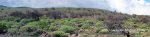 Panorama 10.JPG