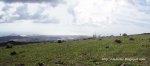 Panorama 11.JPG