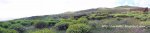 Panorama 15.JPG