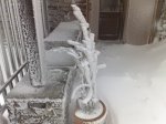 nieve2.jpg