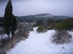 Foto6.JPG