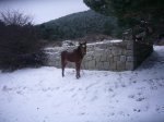 Foto8.JPG