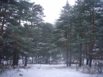 Foto11.JPG