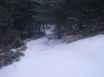 Foto14.JPG