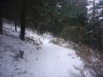 Foto29.JPG