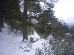 Foto30.JPG
