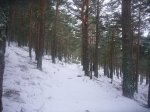 Foto32.JPG