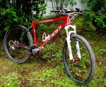 bici ruedas fin.jpg