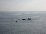 IMG_6368.JPG