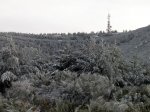 PB250018 (Copiar).JPG