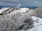 PB250021 (Copiar).JPG