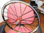 DSC03755.JPG