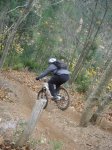DSC05532.jpg