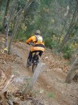 DSC05535.jpg
