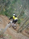 DSC05536.jpg