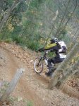DSC05539.jpg