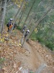 DSC05540.jpg
