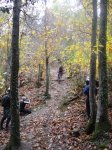 DSC05547.jpg