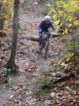 DSC05549.jpg