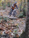 DSC05550.jpg