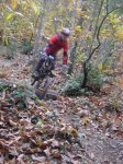 DSC05552.jpg